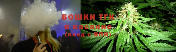 гашик Новокубанск