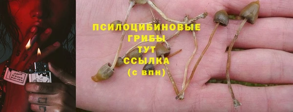 бошки Нягань