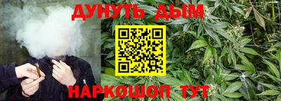 индика Кулебаки