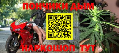 индика Кулебаки