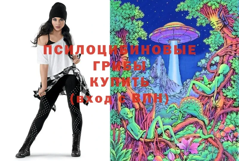 omg ссылка  цены   Старая Русса  Галлюциногенные грибы Psilocybe 