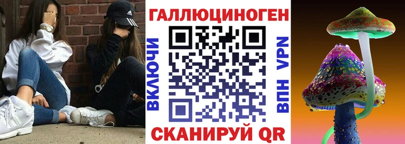 Галлюциногенные грибы Psilocybe купить наркоту Старая Русса