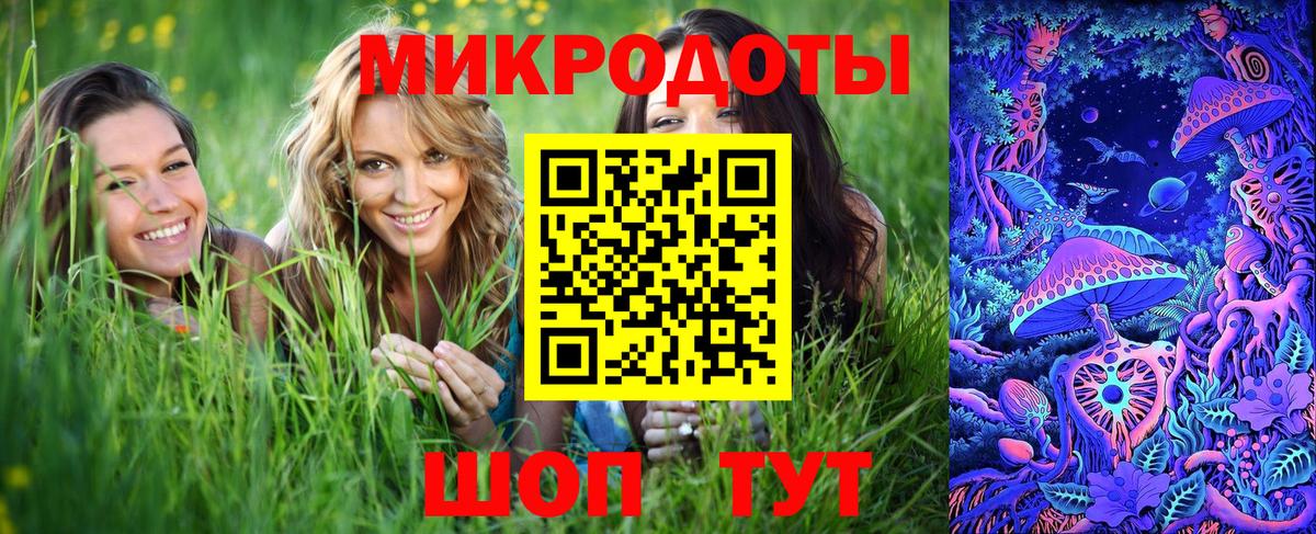 Галлюциногенные грибы GOLDEN TEACHER Старая Русса
